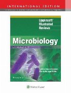 Lippincott (R) Illustrated Reviews: Microbiology