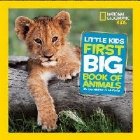 Little Kids First Big Book