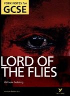 Lord Of The Flies (Your notes for GCSE)