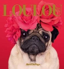 Loulou the Pug