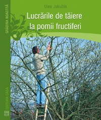 Lucrarile de taiere la pomii fructiferi