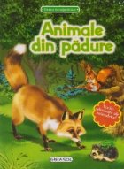 Lumea inconjuratoare - Animale din padure (cu vocile adevarate ale animalelor!)