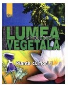 Lumea vegetala a Moldovei. Vol. 2  Plante cu flori﻿