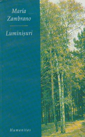 Luminisuri