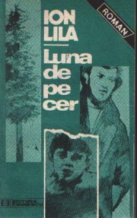 Luna de pe cer - roman