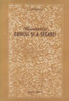 Macinarea griului secarei