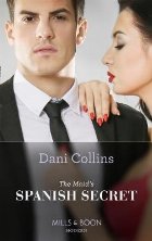 Maid\'s Spanish Secret