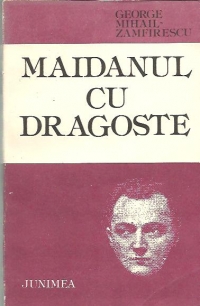 Maidanul cu dragoste (roman)