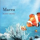 Marea