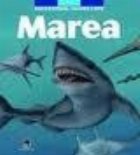 Marea