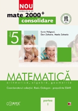 MATE 2000 CONSOLIDARE. MATEMATICA. ARITMETICA, ALGEBRA, GEOMETRIE. CLASA A V-A. PARTEA I