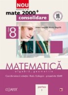 MATE 2000 CONSOLIDARE MATEMATICA ALGEBRA