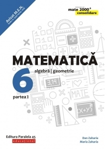 Matematica. Algebra, geometrie. Clasa a VI-a. Consolidare. Partea I