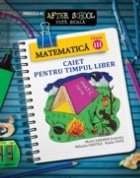 Matematica clasa a III-a. Caiet pentru timpul liber