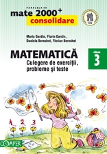 Matematica. Culegere de exercitii, probleme si teste - Clasa a III-a