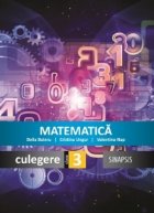 Matematica Culegere pentru clasa III