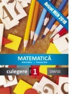 Matematica Culegere pentru clasa