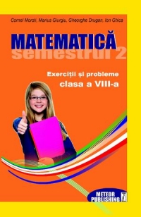 Matematica. Exercitii si probleme. Clasa a VIII-a, semestrul II 2012-2013