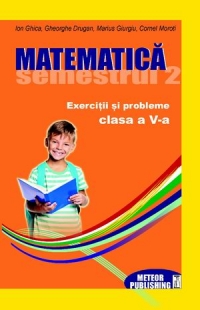 Matematica. Exercitii si probleme. Clasa a V-a, semestrul II 2012-2013