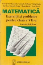 Matematica Exercitii si probleme pentru clasa a VII-a, semestrul al II-lea
