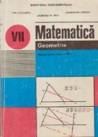 Matematica - Geometrie, Manual pentru clasa a VII-a