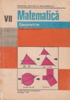 Matematica - Geometrie, Manual pentru  clasa a VII-a