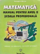 Matematica. Manual pentru anul II, scoala profesionala