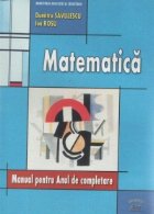 Matematica manual pentru anul completare