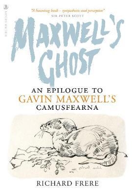 Maxwell's Ghost