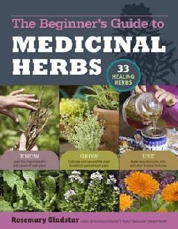 Medicinal Herbs: a Beginners Guide