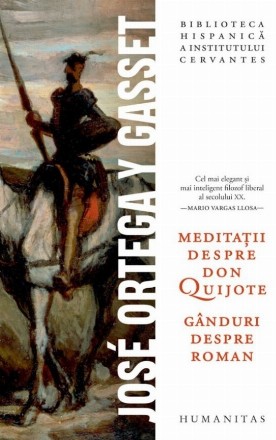 Meditaţii despre Don Quijote - Gânduri despre roman