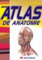 MIC ATLAS ANATOMIE