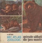 Mic atlas zoologic Animale salbatice