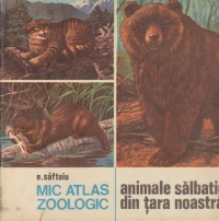 Mic atlas zoologic - Animale salbatice din tara noastra