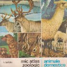 Mic atlas zoologic animale domestice