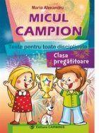 Micul campion Teste pentru toate