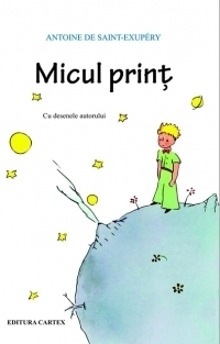 Micul Print