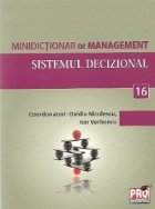 Minidictionar management (16) Sistemul decizional