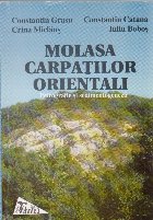 Molasa Carpatilor Orientali Petrografie sedimentogeneza