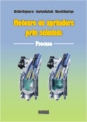 Motoare cu aprindere prin scanteie - Procese