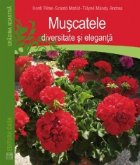 Muscatele - diversitate si eleganta