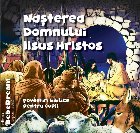 Naşterea Domnului Iisus Hristos povestiri