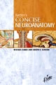 Netters Concise Neuroanatomy