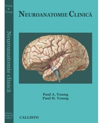 NEUROANATOMIE Clinica