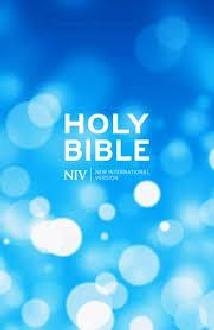 NIV Popular Hardback Bible