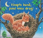 Noapte buna, puiul meu drag!