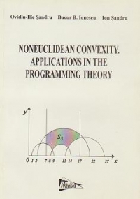 Noneuclidean Convexity Applications in the Programming Theory