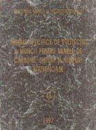 Norme specifice protectie muncii pentru