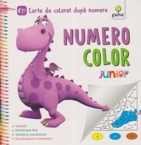 Numero Color Junior Plus - O carte de colorat dupa numere