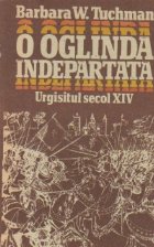 oglinda indepartata Urgisitul secol XIV